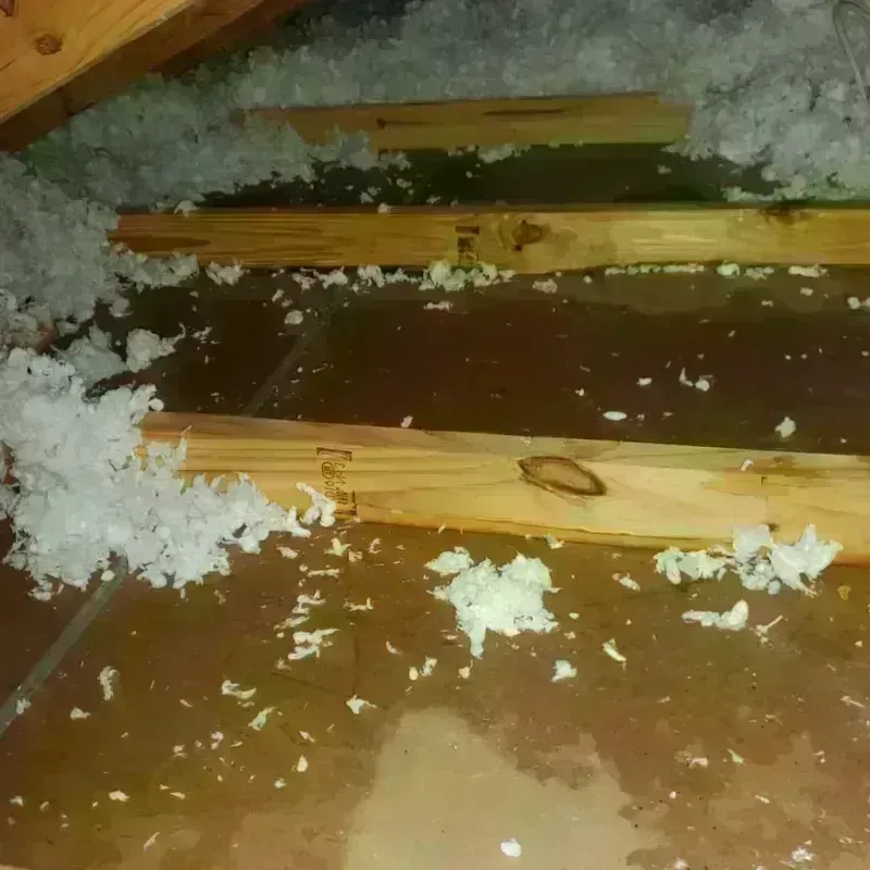 Attic Water Damage in Parkersburg, IA