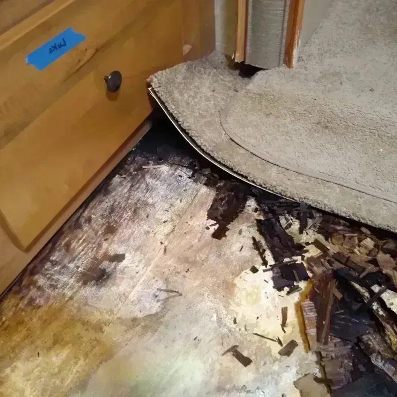 Wood Floor Water Damage in Parkersburg, IA